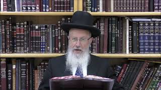 הגאון הרב אברהם יוסף שליט"א האם מותר לטלטל מאכלים בשבת המיועדים לאדם אחר (הרב אברהם יוסף) - התמונה מוצגת ישירות מתוך אתר האינטרנט יוטיוב. זכויות היוצרים בתמונה שייכות ליוצרה. קישור קרדיט למקור התוכן נמצא בתוך דף הסרטון