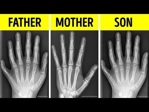 聞くことを期待していなかった30の短いランダムな事実 (30 Short Random Facts You Didn't Expect to Hear)