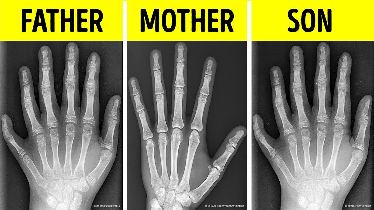 30 Short Random Facts You Didn't Expect to Hear