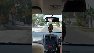 Download lagu #campursari #coversong #avanza #driver #drivers #nyetir #nyetirmobil #automobile mp3 Download lagu #campursari #coversong #avanza #driver #drivers #nyetir #nyetirmobil #automobile mp3