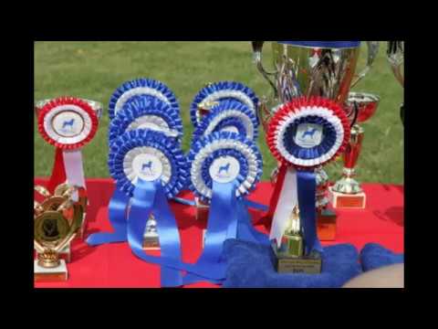 Specialty CCEFSPC Shar pei club Slovakia