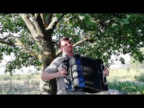 КАЛИНКА-МАЛИНКА... (ремикс)Сергей Кузнецов:07.06.2019(12:45)