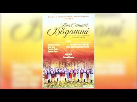 ZILELE COMUNEI BIRGAUANI 2016