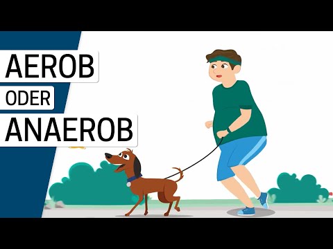 Aerobes und anaerobes Training: Was ist der Unterschied?
