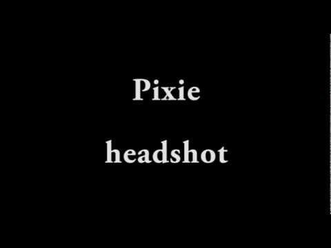 Pixie - headshot full upload