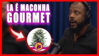 [DACUNHA] O MXICO PRODUZ MACONHA GOURMET?