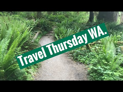 A night time walk through Hoh Rain Forest..Olympic National Park, WA