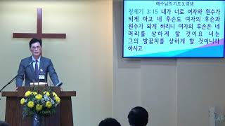 요한복음 강해 (125) – 예수님의 기도 3. “영생”(1)