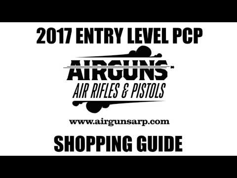 2017 Entry Level PCP Air Rifle Shopping Guide - Urban, Gauntlet, Stormrider and more!