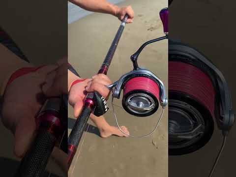 ¡LANCE DE NUESTRO AMIGO ALEX SURFCASTING DELTA! - [MV SPOOLS]