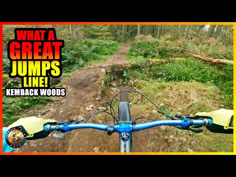 Perfect jumps trail to practice on! // Kemback Woods has it all