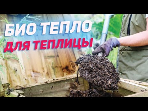 Самое эффективное отопление для теплиц. Биореактор биомейлер . Лучше только термоядерный синтез:)