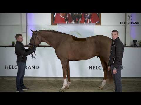 Vivino von Vivaldi   Dancier