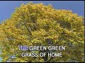 Tom Jones – Green Green Grass Of Home