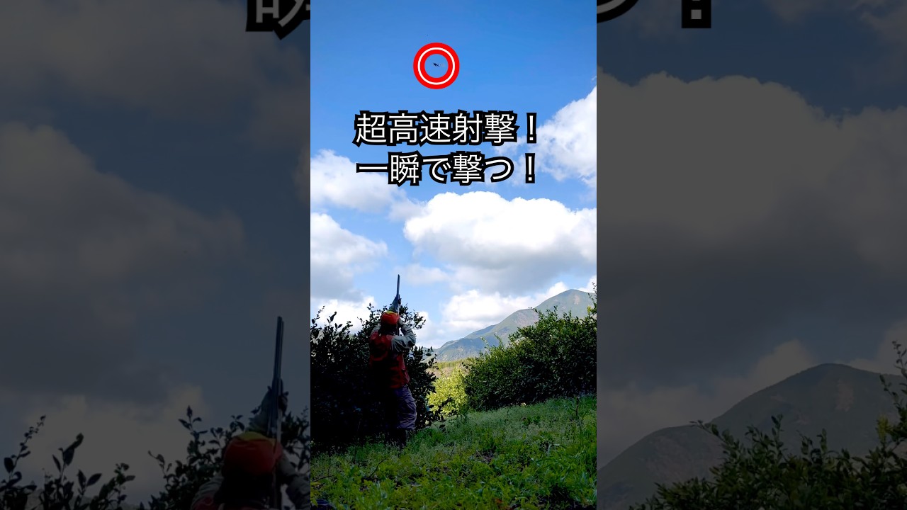 【実銃射撃】頭上を飛び去るヒヨドリを一瞬で撃つ！