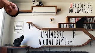 un arbre à chats GÉANT ! 2 - DIY en bois - Bricoleuse du dimanche