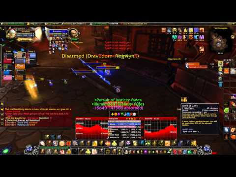 Holy Pala 2 man healing Thok Flex 12man POV Kill ilvl 537 equipped