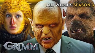 EVERY Wesen From Season 1  Grimm