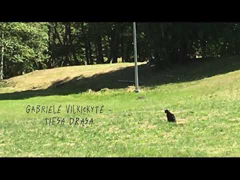Gabrielė Vilkickytė - TIESA DRĄSA (reupload)