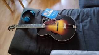 Video thumbnail for The Loar LH 650 VS by sockenfrank