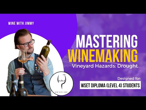 WSET Level 4 (WSET Diploma) Mastering Vineyard Hazards - Drought