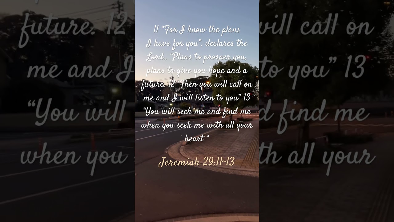 Jeremiah cap 29 v 11 to 13 #bible #bibletextdaily #jeremiah #jeremiah2911