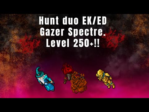Tibia hunt duo EK e ED -  Gazer Spectre 100% explicada! Loot/Profit  muito bom! (level 250+)