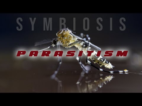 Symbiosis: Parasitism