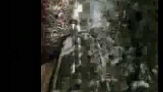 Pain of Salvation - Shore Serenity