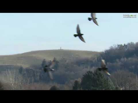 Gradnja stolpa na Mađerkinem bregu nad Štrigovo