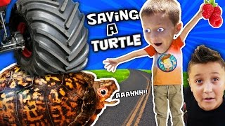 WE SAVED AN INJURED TURTLE!! (FUNnel Vision Pet Smart Habitat Vlog)