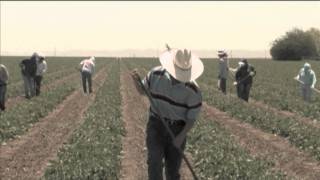 Corrido d Piedad Ayala