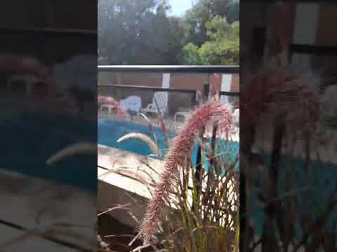 Video de Postal del Palmar