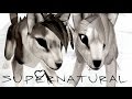Feral Heart - Supernatural | feat. TheAkitaGeles ...
