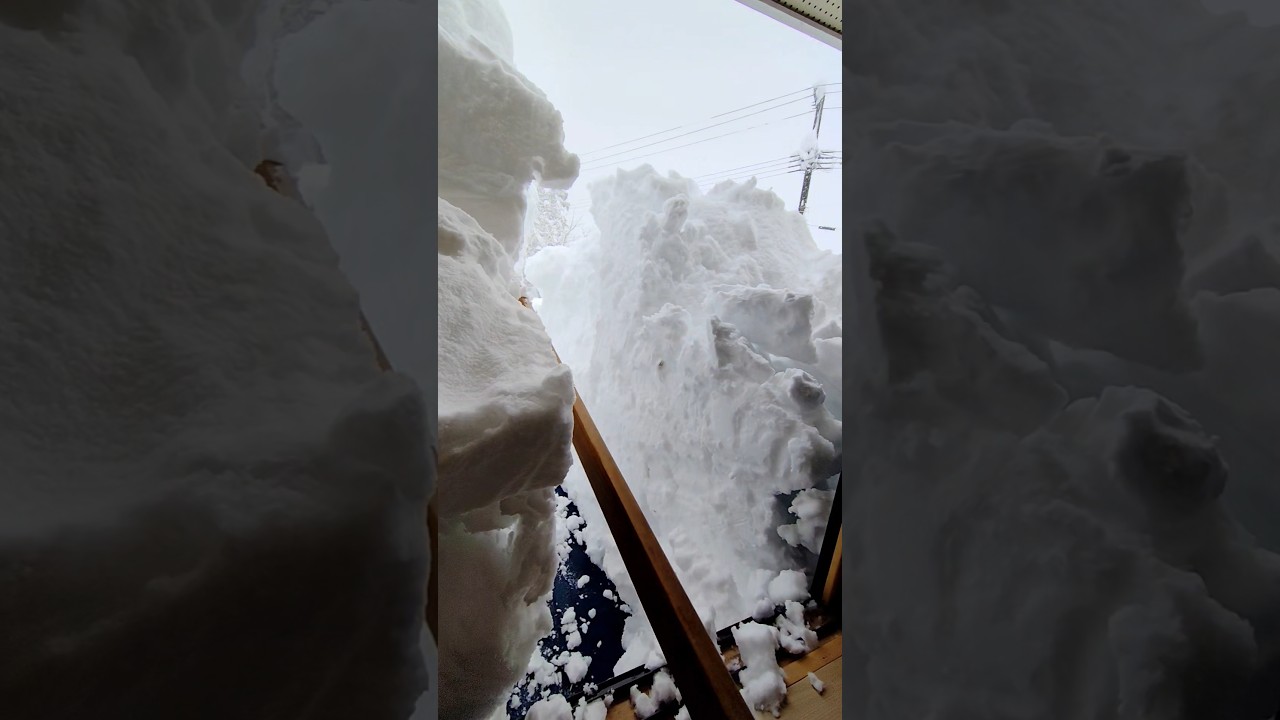 窓から雪下ろし2026#snow #winter #japan #asmr #shorts