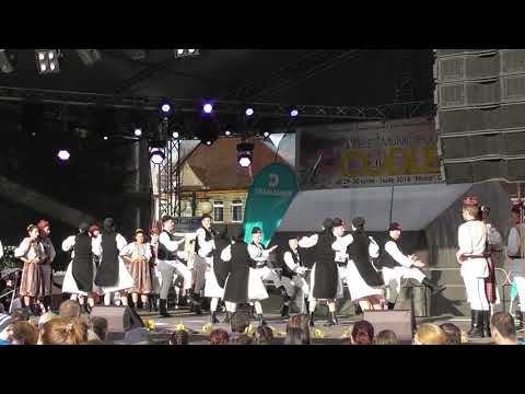 Ansamblul Folcloric Magura Codlei !