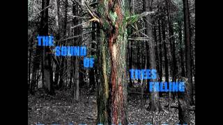 Adirondack - The Sound Of Trees Falling