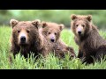 Bernward Koch - Follow Me