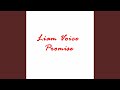 Promise
