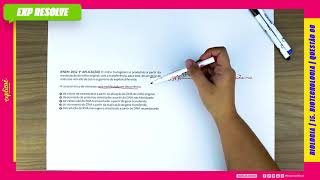 O Milho Transgenico é Produzido A Partir