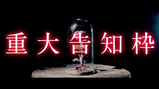 He- THANK YOU LUZ!! now i can die happy - 重大告知枠 Important announcement.
