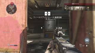 COMMW　　マルチ　レベル上げ