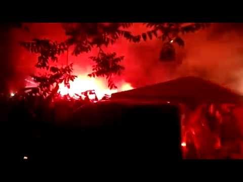 Ferencváros - Videoton népligeti szurkolás 2. (kupadöntő)