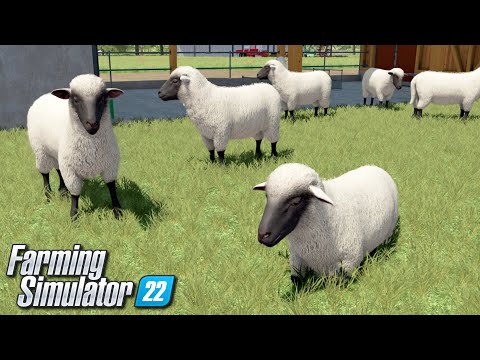 , title : 'Hodowla owiec - Farming Simulator 22 | #42'