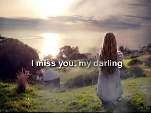 Tamer Hosny _ Naseeny Lih : Translator English