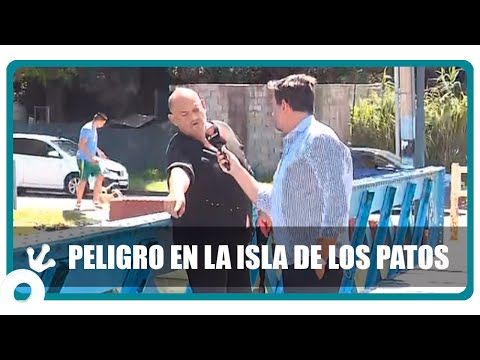 Unusual vandalism in Córdoba: the bridge on Isla de los Patos is dismantled to sell the wood