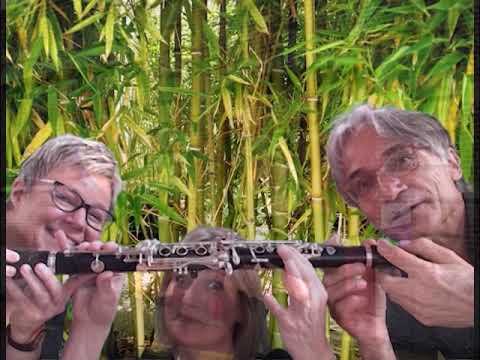 Choisir la clarinette