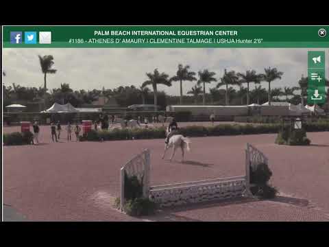 Athenes D’ Amaury & Tessa Perigo USHJA 2’6” ESP Finale