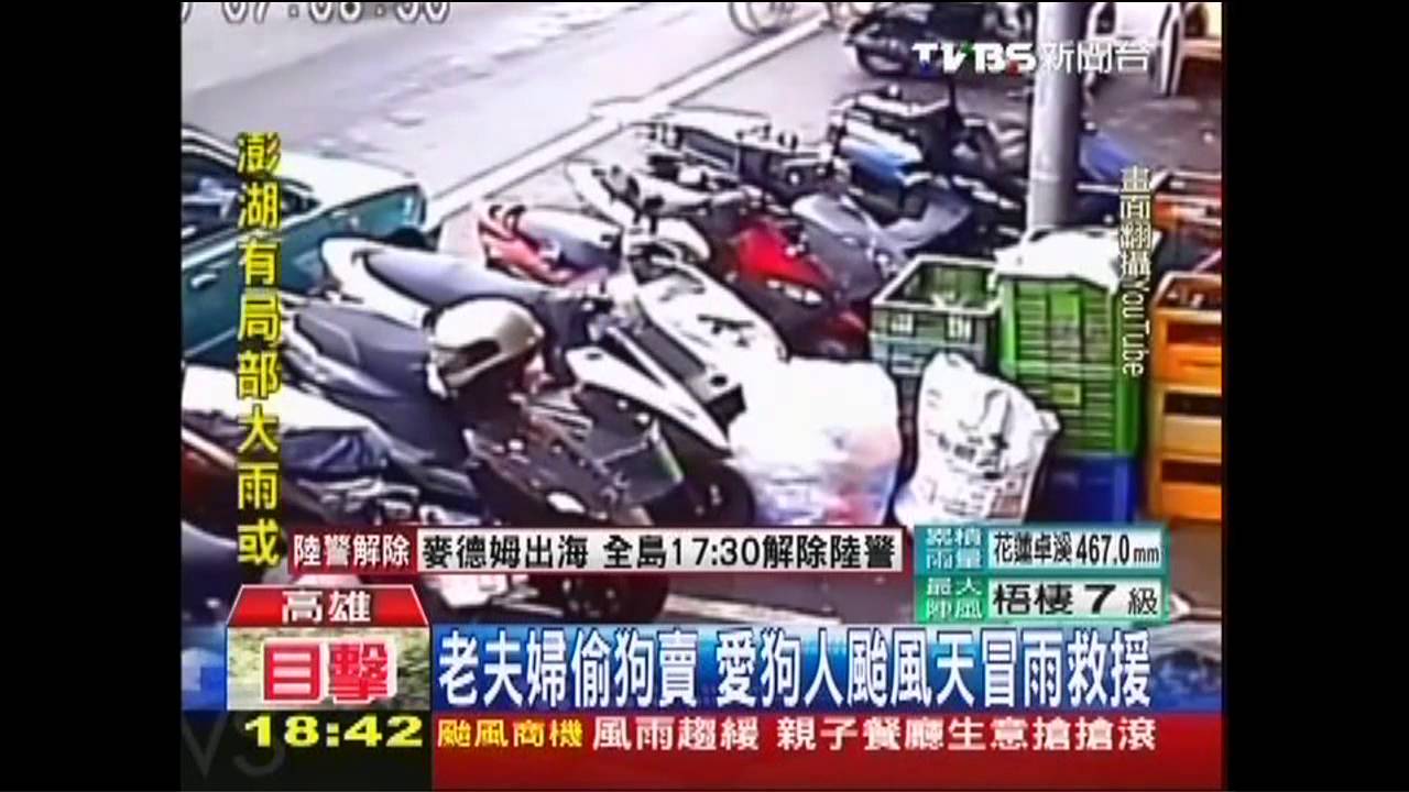 老夫婦偷狗賣　動保人颱風天冒雨救援