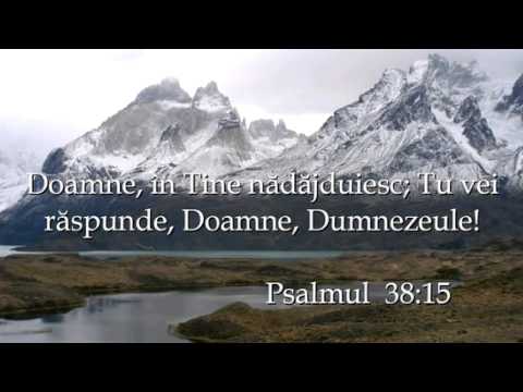 Irinel din mizil - cand pe marea vietii